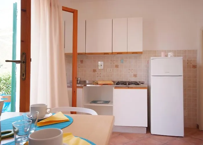 Dino Capoliveri (Isola d'Elba)