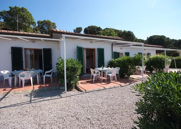 Dino Capoliveri (Isola d'Elba)